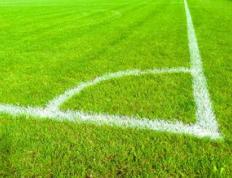 乐鱼 vip 注册-利物浦球队配合日益默契，世俱杯表现备受关注