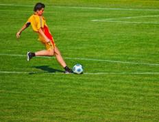 乐鱼 vip 注册-帕尔梅拉斯训练基地开放，备战世俱杯进入冲刺阶段