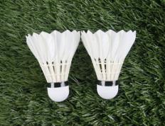 乐鱼体育app-丹麦羽毛球队强势击败法国羽毛球队，陶菲克关键制胜