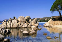 乐鱼体育-阿尔希拉尔主场迎战鹿岛鹿角，锋线火力引爆看点