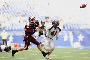 乐鱼官网-帕尔梅拉斯球员心理调节到位,比赛中发挥更稳定