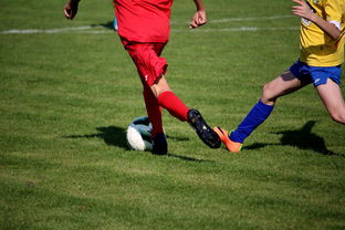 乐鱼体育-卡尔蒂斯球队目标明确，誓夺世俱杯最高荣誉