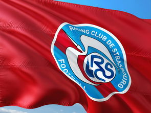 乐鱼体育app-帕尔梅拉斯锋线组合默契,世俱杯争冠实力凸显